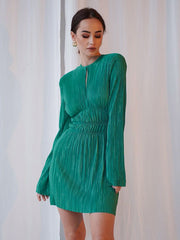 Green Pleated Dress round Neck Long SleeveALine skirt