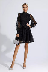 Lorelei Black Lace Jacquard Mini Dress