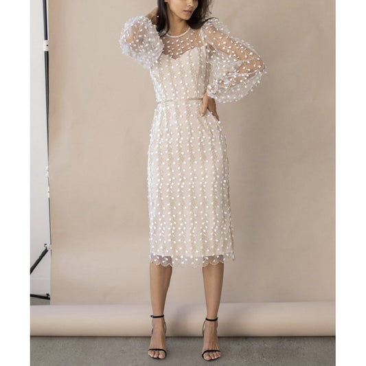 Embroidery Sheer Mesh Dress