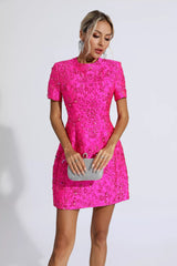 Astrid Pink Jacquard Floral Mini Dress